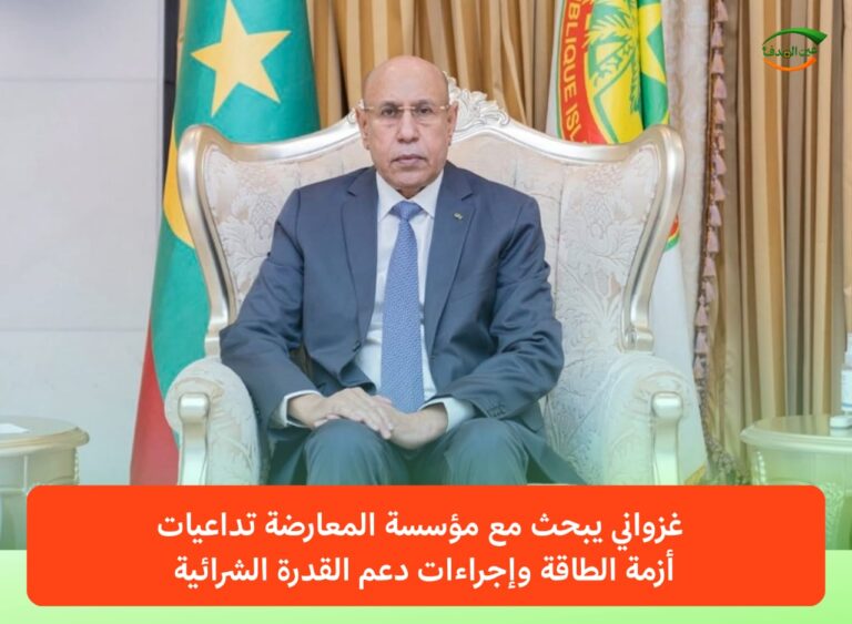 WhatsApp Image 2026-04-02 at 20.07.42 (1)